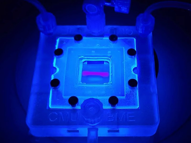 Bioprinting tool used by biomedical engineering