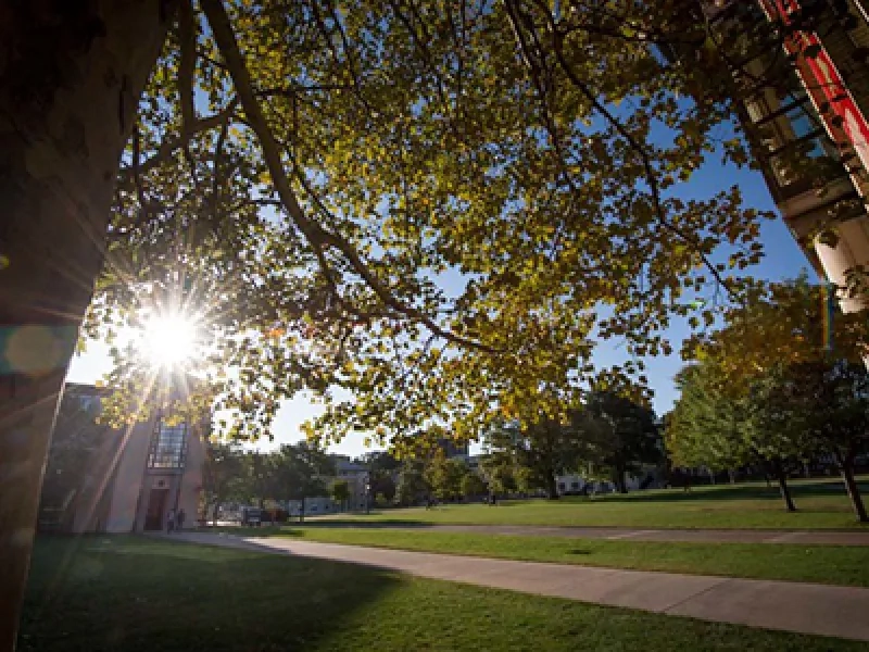 campus with sun shining through trees